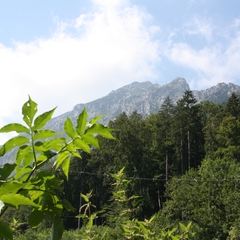 11 Urlaub 2011